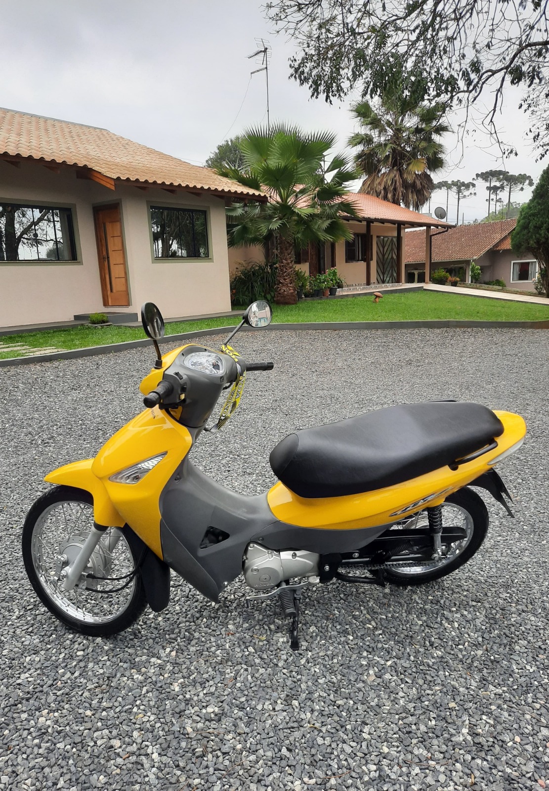 Honda Biz 125 Es 2008 - Econômica E Prática - Erincar Veículos - Revenda De Veículos Em Rio Negro