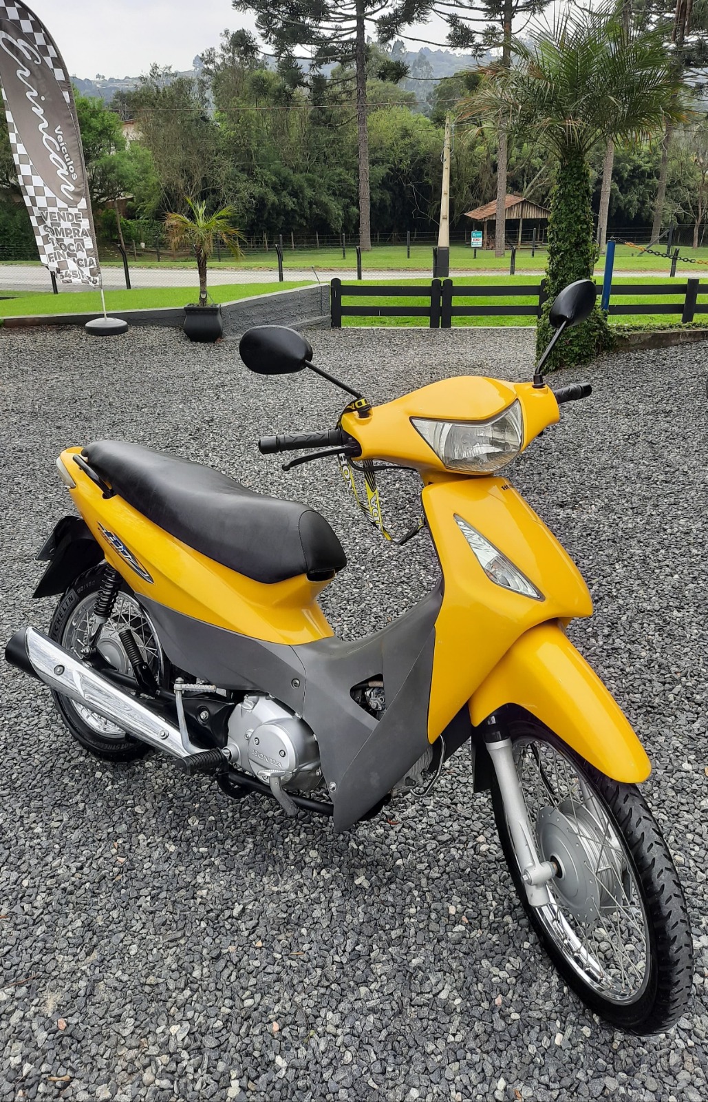 Honda Biz 125 Es 2008 - Econômica E Prática - Erincar Veículos - Revenda De Veículos Em Rio Negro